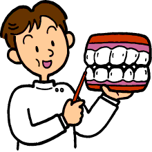 矯正歯科 審美歯科 インプラント 噛み合わせ治療 蕨　歯科 南大泉歯科医院
